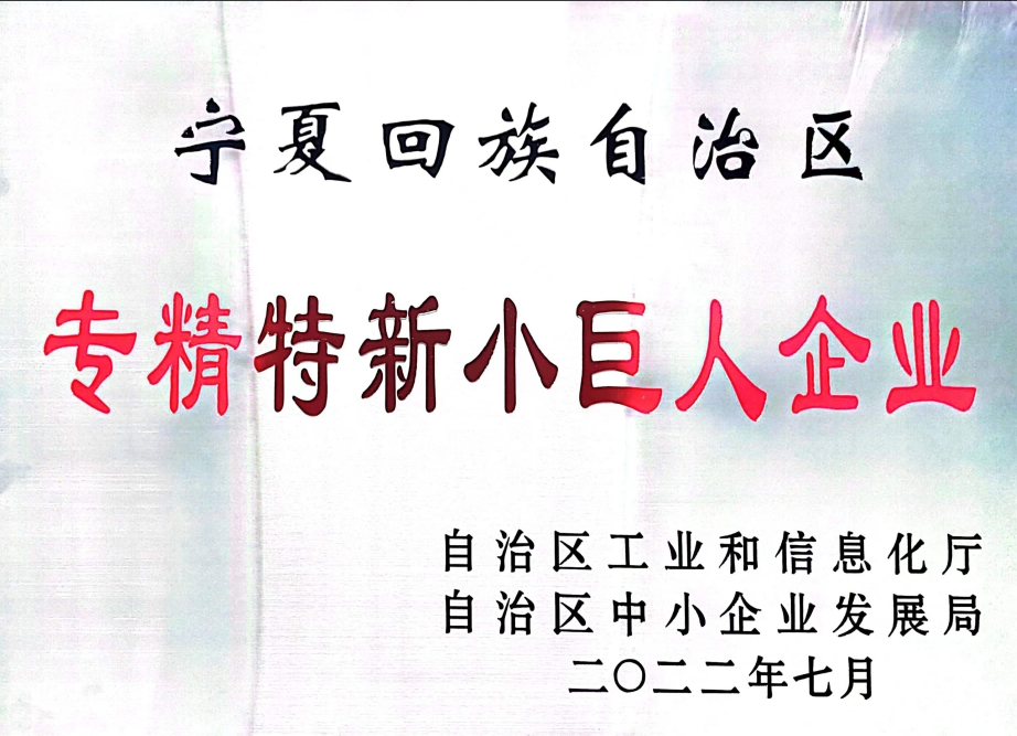 专精特新小巨人企业